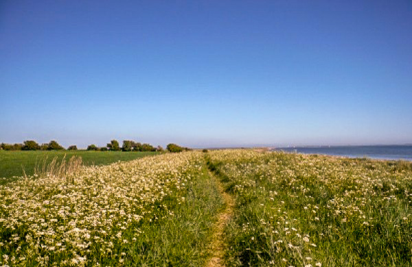 Wanderweg zum Leuchtturm