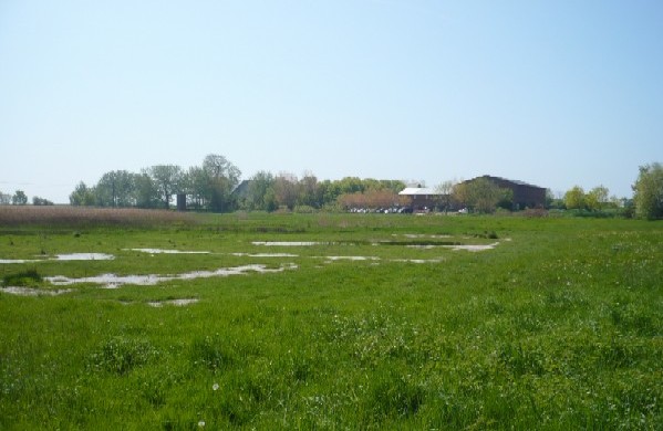 Blick auf den Strandhof Flügge
