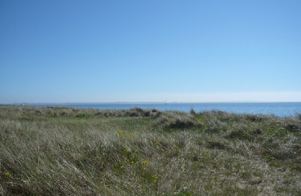 Flügger Dünen