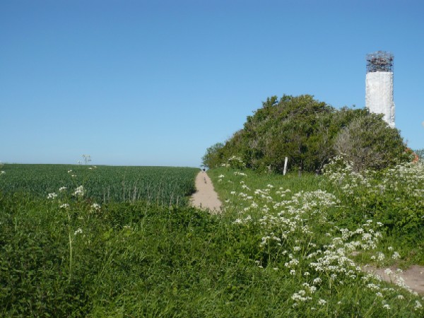 P1190963