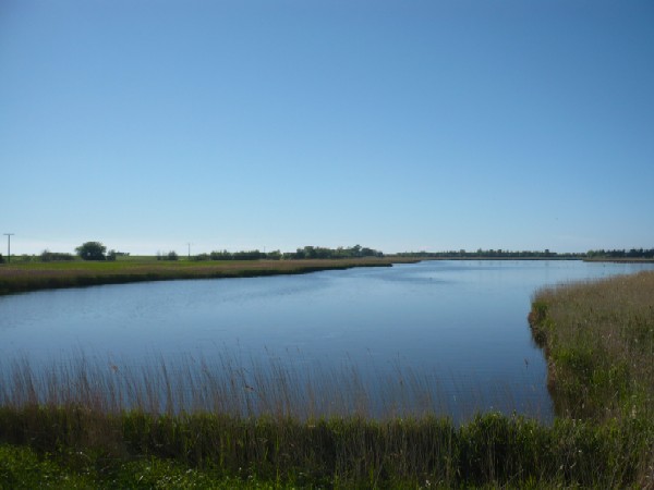 P1190993