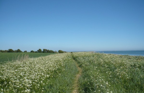 Wanderweg zum Leuchtturm