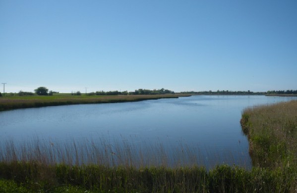 die Flügger Teiche